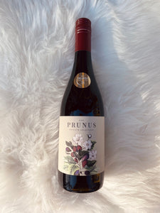 Prunus Dao Tinto 2019