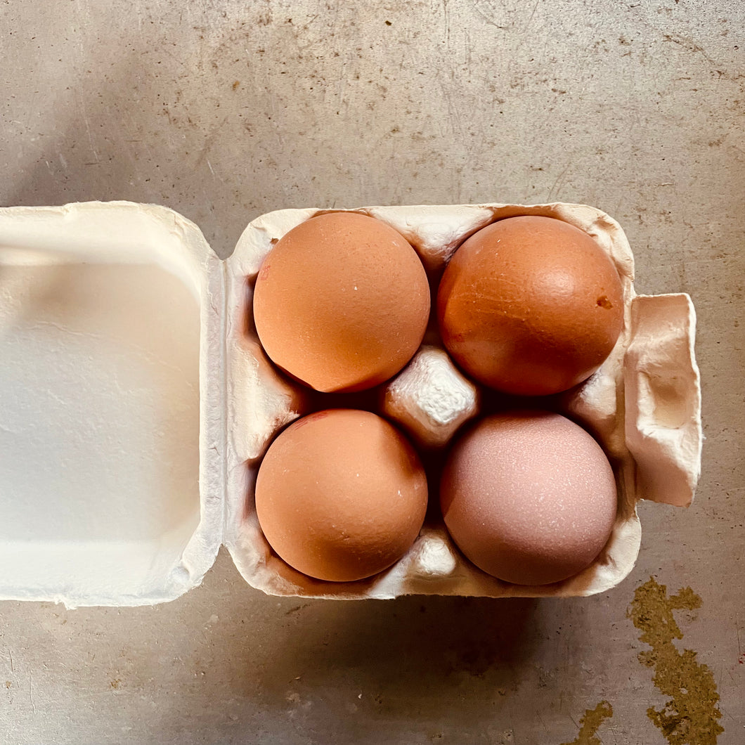 Free range eggs
